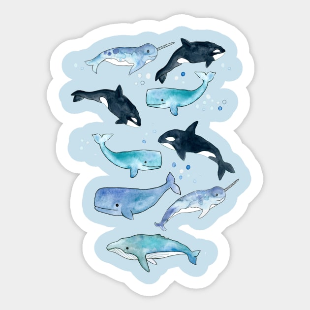 Whales, Orcas & Narwhals Sticker by tangerinetane